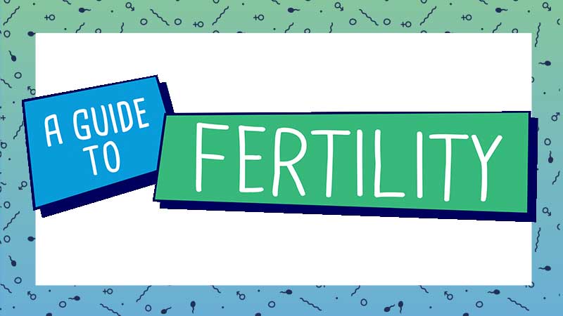 A Guide To Fertility