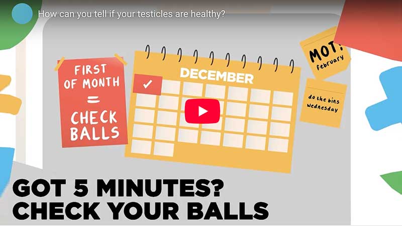 How Can You Tell If Your Testicles Are Healthy
